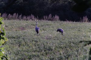 DSCF5322.JPG