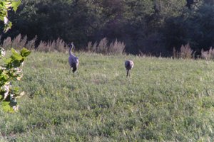 DSCF5327.JPG