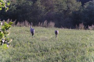 DSCF5329.JPG