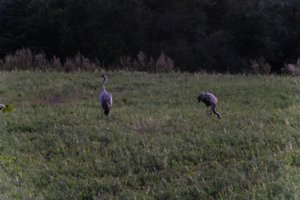 DSCF5349.JPG