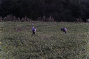 DSCF5350.JPG