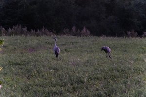 DSCF5351.JPG