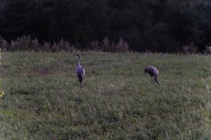 DSCF5352.JPG