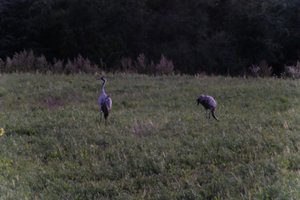DSCF5353.JPG