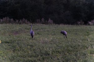 DSCF5354.JPG