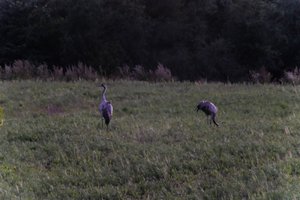 DSCF5356.JPG
