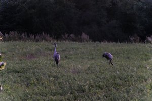 DSCF5357.JPG