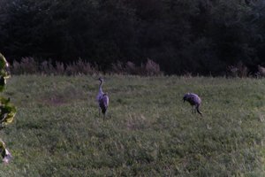 DSCF5358.JPG