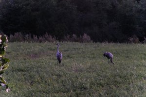DSCF5359.JPG