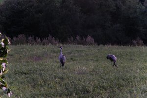 DSCF5360.JPG