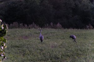 DSCF5361.JPG
