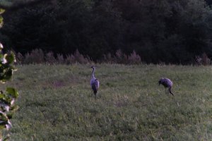 DSCF5362.JPG
