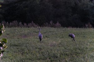 DSCF5363.JPG