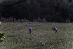 DSCF5364.JPG