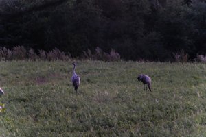 DSCF5366.JPG