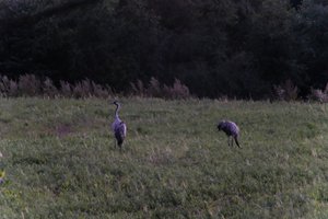 DSCF5367.JPG