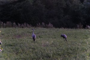 DSCF5368.JPG