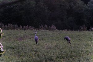 DSCF5369.JPG
