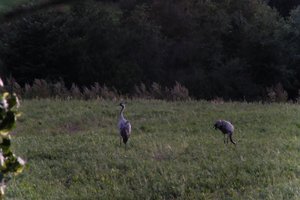 DSCF5370.JPG