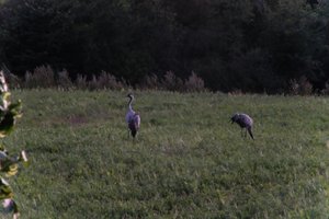 DSCF5371.JPG