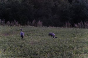 DSCF5374.JPG