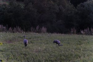 DSCF5376.JPG