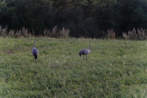 DSCF5381.JPG