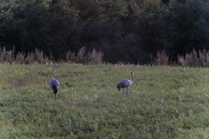 DSCF5382.JPG