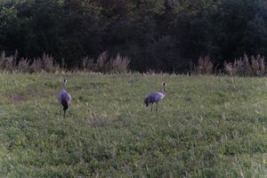 DSCF5383.JPG