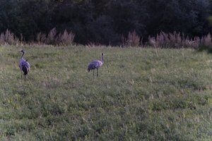 DSCF5391.JPG