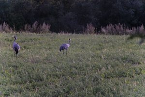 DSCF5392.JPG