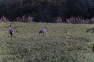 DSCF5394.JPG