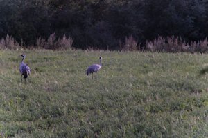 DSCF5395.JPG