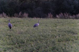 DSCF5396.JPG