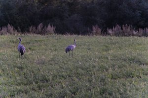 DSCF5397.JPG