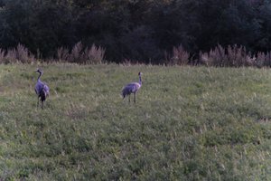 DSCF5398.JPG