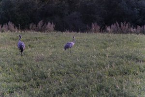 DSCF5399.JPG