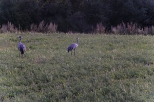 DSCF5400.JPG