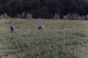 DSCF5401.JPG