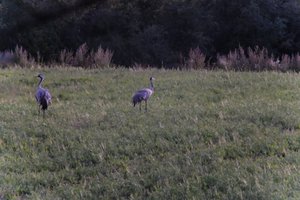 DSCF5402.JPG