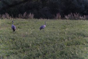 DSCF5403.JPG