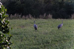 DSCF5404.JPG