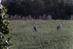 DSCF5405.JPG