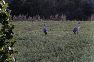 DSCF5407.JPG
