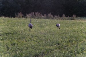 DSCF5409.JPG