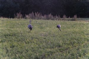 DSCF5410.JPG