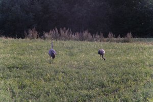 DSCF5413.JPG