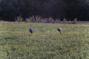 DSCF5414.JPG