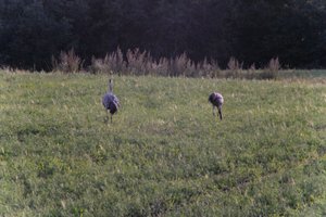 DSCF5418.JPG