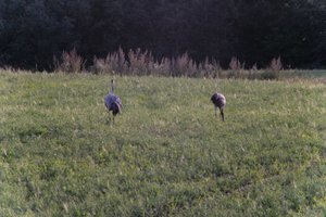 DSCF5419.JPG